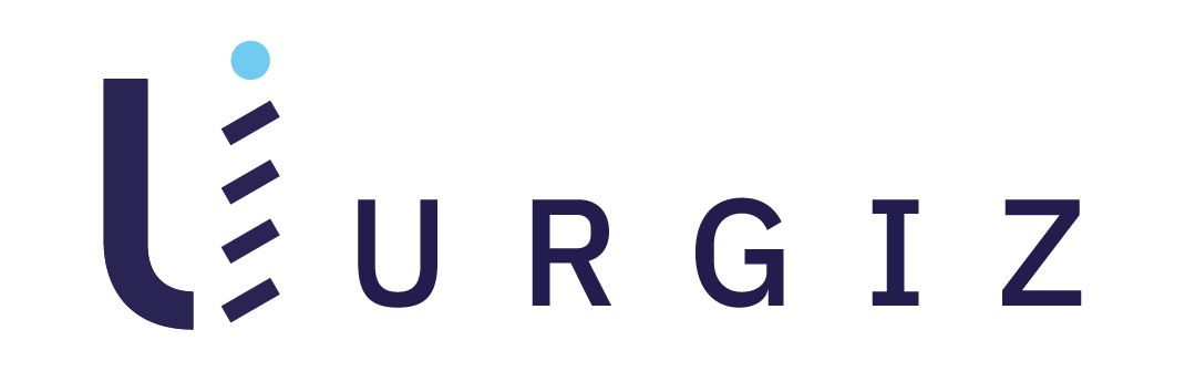 Urgiz soluciones informáticas